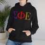 Sigma Phi Epsilon Logo Hooded Sweatshirts