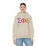 Sigma Phi Epsilon Logo Hooded Sweatshirts
