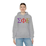 Sigma Phi Epsilon Logo Hooded Sweatshirts