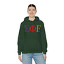 Sigma Phi Epsilon Logo Hooded Sweatshirts
