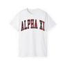 Alpha Xi Delta Christmas Plaid Tees