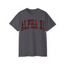 Alpha Xi Delta Christmas Plaid Tees