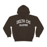 Delta Chi Alumni Hooded Sweatshirt