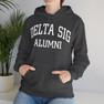 Delta Sigma Phi Alumni Hooded Sweatshirt