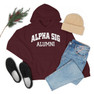Printify Alpha Sigma Phi Alumni Hooded Sweatshirt 