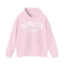 Alpha Sigma Phi Alumni Hooded Sweatshirt