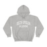 Delta Upsilon Alumni Hooded Sweatshirt