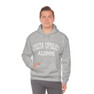 Delta Upsilon Alumni Hooded Sweatshirt