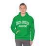 Delta Upsilon Alumni Hooded Sweatshirt