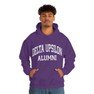 Delta Upsilon Alumni Hooded Sweatshirt