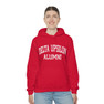 Delta Upsilon Alumni Hooded Sweatshirt