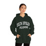 Printify Delta Upsilon Alumni Hooded Sweatshirt 