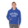 Printify Delta Upsilon Alumni Hooded Sweatshirt 