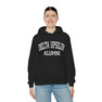 Delta Upsilon Alumni Hooded Sweatshirt