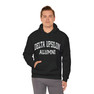Delta Upsilon Alumni Hooded Sweatshirt