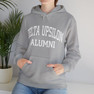 Delta Upsilon Alumni Hooded Sweatshirt