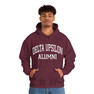 Delta Upsilon Alumni Hooded Sweatshirt