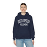 Delta Upsilon Alumni Hooded Sweatshirt