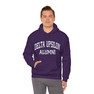 Delta Upsilon Alumni Hooded Sweatshirt
