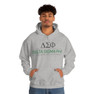 Delta Sigma Phi Better Men, Better Lives Hooded Sweatshirt