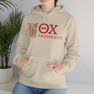 Theta Chi Logo Hooded Sweatshirts