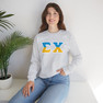 Sigma Chi Two Toned Greek Lettered Crewneck Sweatshirts