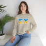 Sigma Chi Two Toned Greek Lettered Crewneck Sweatshirts