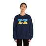 Sigma Chi Two Toned Greek Lettered Crewneck Sweatshirts