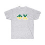 Phi Chi Two Toned Greek Lettered T-shirts
