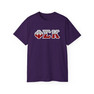 Phi Sigma Kappa Two Toned Greek Lettered T-shirts