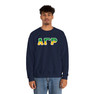 Alpha Gamma Rho Two Toned Greek Lettered Crewneck Sweatshirts