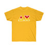 Delta Chi Two Toned Greek Lettered T-shirts
