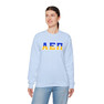 Alpha Epsilon Pi Two Toned Greek Lettered Crewneck Sweatshirts