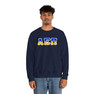 Alpha Epsilon Pi Two Toned Greek Lettered Crewneck Sweatshirts