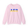 Alpha Epsilon Pi Two Toned Greek Lettered Crewneck Sweatshirts