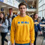 Alpha Epsilon Pi Two Toned Greek Lettered Crewneck Sweatshirts
