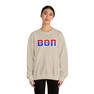 Beta Theta Pi Two Toned Greek Lettered Crewneck Sweatshirts