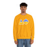 Delta Phi Two Toned Greek Lettered Crewneck Sweatshirts