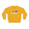 Delta Upsilon Two Toned Greek Lettered Crewneck Sweatshirts