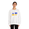 Delta Upsilon Two Toned Greek Lettered Crewneck Sweatshirts