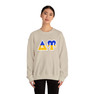 Delta Upsilon Two Toned Greek Lettered Crewneck Sweatshirts