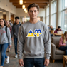 Delta Upsilon Two Toned Greek Lettered Crewneck Sweatshirts