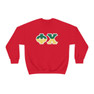 Phi Chi Two Toned Greek Lettered Crewneck Sweatshirts