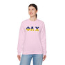 Phi Lambda Chi Two Toned Greek Lettered Crewneck Sweatshirts