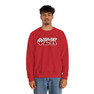 Phi Sigma Kappa Two Toned Greek Lettered Crewneck Sweatshirts