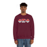 Phi Sigma Phi Two Toned Greek Lettered Crewneck Sweatshirts