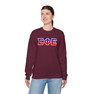 Sigma Phi Epsilon Two Toned Greek Lettered Crewneck Sweatshirts