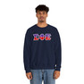 Sigma Phi Epsilon Two Toned Greek Lettered Crewneck Sweatshirts