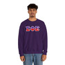 Sigma Phi Epsilon Two Toned Greek Lettered Crewneck Sweatshirts