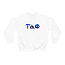 Tau Delta Phi Two Toned Greek Lettered Crewneck Sweatshirts